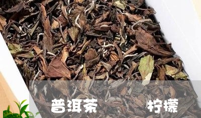 普洱茶   柠檬/2023041274150